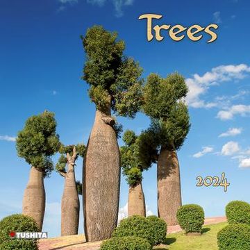 Comprar Trees 2024 Kalender 2024 De Buscalibre   F5f3f453c11cd71dca1cb4787180546c 