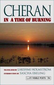 portada In a Time of Burning