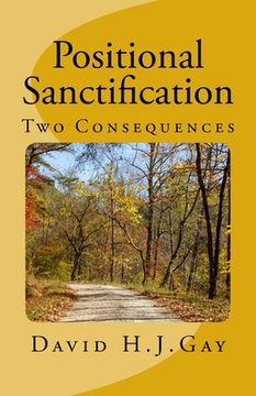 portada Positional Sanctification: Two Consequences (en Inglés)