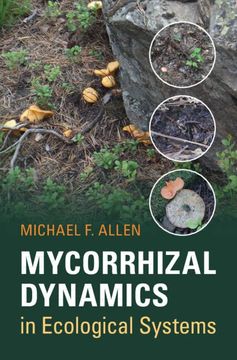portada Mycorrhizal Dynamics in Ecological Systems (in English)