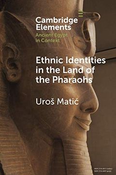 portada Ethnic Identities in the Land of the Pharaohs: Past and Present Approaches in Egyptology (Elements in Ancient Egypt in Context) (en Inglés)