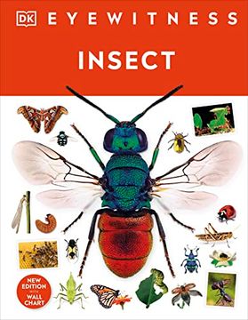portada Insect (en Inglés)