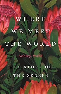 portada Where we Meet the World: The Story of the Senses (in English)