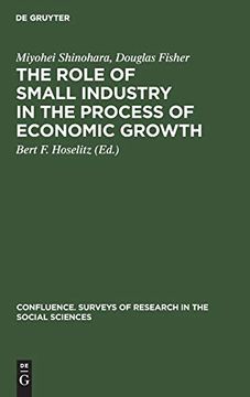 portada The Role of Small Industry in the Process of Economic Growth (en Inglés)