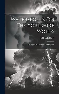 portada Waterspouts on the Yorkshire Wolds: Cataclysm at Langtoft and Driffield (in English)