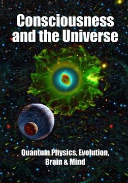 portada Consciousness and the Universe: Quantum Physics, Evolution, Brain & Mind (en Inglés)