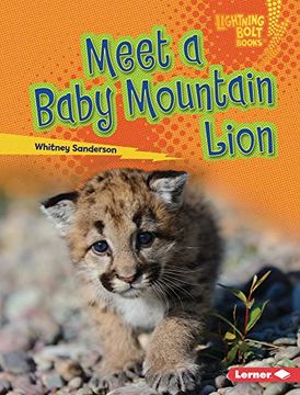 portada Meet a Baby Mountain Lion (Lightning Bolt Books ® ― Baby North American Animals) 