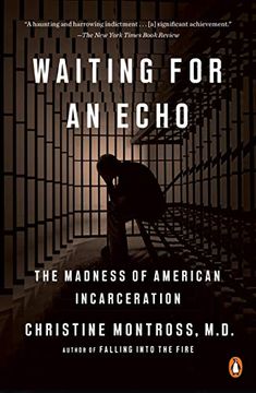 portada Waiting for an Echo: The Madness of American Incarceration (in English)