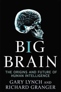 portada Big Brain: The Origins and Future of Human Intelligence (Macsci) (en Inglés)