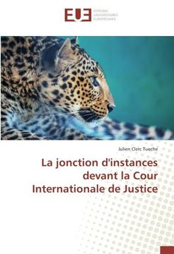 portada La jonction d'instances devant la Cour Internationale de Justice (OMN.UNIV.EUROP.)