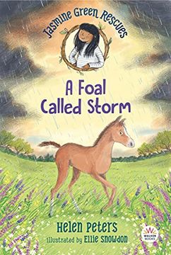 portada A Foal Called Storm (Jasmine Green Rescues, 8) (in English)