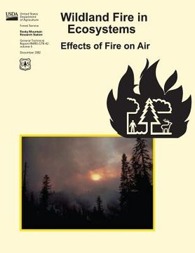 portada Wildland Fire in Ecosystems: Effects of Fire on Air (en Inglés)