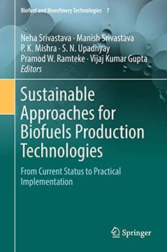 portada Sustainable Approaches for Biofuels Production Technologies: From Current Status to Practical Implementation (in English)