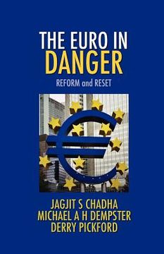 portada the euro in danger (in English)