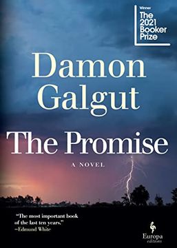 portada The Promise: A Novel (Booker Prize Winner) (en Inglés)