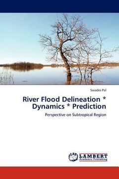 portada river flood delineation * dynamics * prediction (en Inglés)