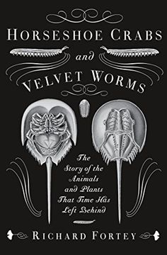 portada Horseshoe Crabs and Velvet Worms: The Story of the Animals and Plants That Time has Left Behind (en Inglés)