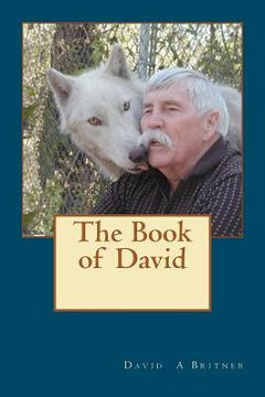 portada the book of david (in English)