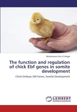 portada The function and regulation of chick Ebf genes in somite development: Chick Embryo, Ebf Genes, Somite Development