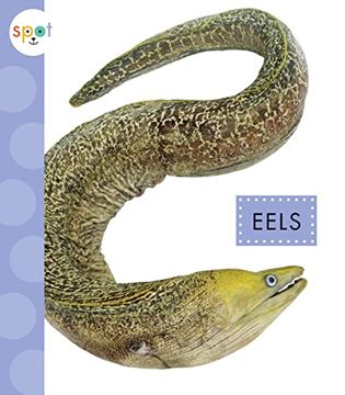 portada Eels