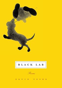 portada Black lab (en Inglés)