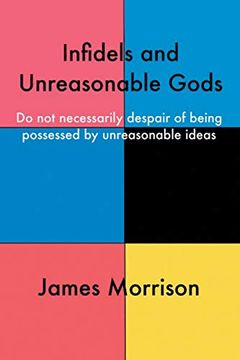 portada Infidels and Unreasonable Gods: Do not Necessarily Despair of Being Possessed by Unreasonable Ideas (en Inglés)