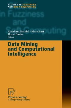 portada data mining and computational intelligence (in English)