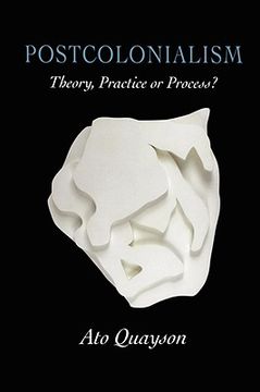portada postcolonialism: theory, practice or process? (in English)