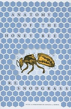 portada anatomy of the honey bee (en Inglés)