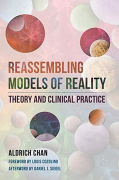 portada Reassembling Models of Reality: Theory and Clinical Practice: 0 (Norton Series on Interpersonal Neurobiology) (en Inglés)