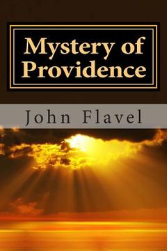 portada Mystery of Providence