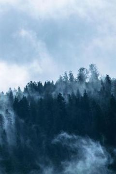 portada Foggy Mountain Morning: A Relaxing Morning on a Mountain. (en Inglés)