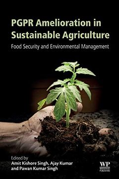 portada Pgpr Amelioration in Sustainable Agriculture: Food Security and Environmental Management (en Inglés)