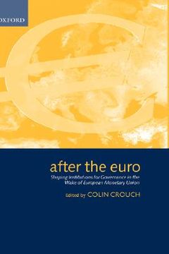 portada after the euro: shaping institutions for governance in the wake of european monetary union (en Inglés)