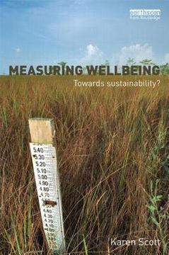 portada measuring wellbeing
