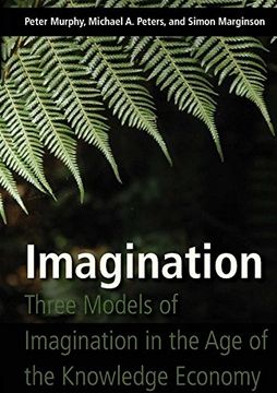 portada Imagination: Three Models of Imagination in the Age of the Knowledge Economy (en Inglés)