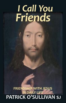 portada I Call you Friends: Friendship With Jesus in Daily Life (en Inglés)