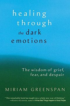 portada Healing Through the Dark Emotions: The Wisdom of Grief, Fear, and Despair (en Inglés)