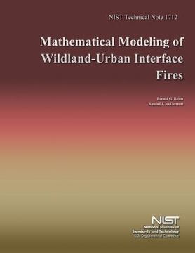 portada Mathematical Modeling of Wildland-Urban Interface Fires (en Inglés)