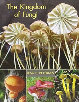 portada The Kingdom of Fungi (en Inglés)