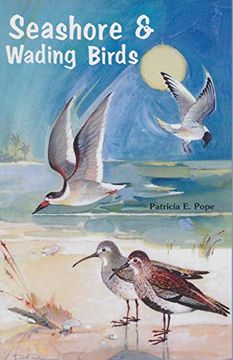 portada Seashore and Wading Birds of Florida 