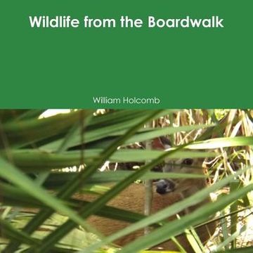 portada Wildlife from the Boardwalk (en Inglés)