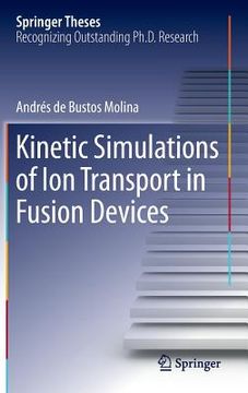portada Kinetic Simulations of Ion Transport in Fusion Devices (en Inglés)
