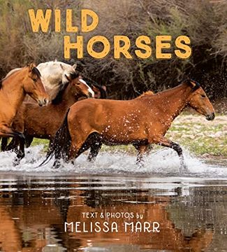 portada Wild Horses 
