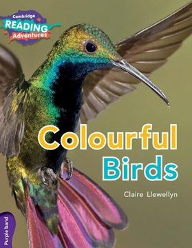 portada Colourful Birds Purple Band (Cambridge Reading Adventures) (en Inglés)