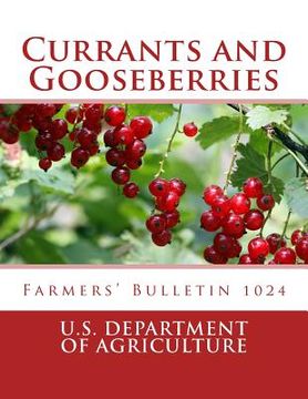 portada Currants and Gooseberries: Farmers' Bulletin 1024 (en Inglés)