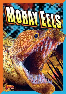 portada Moray Eels (en Inglés)