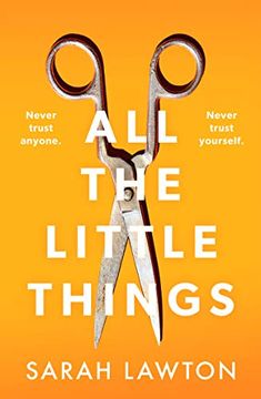portada All the Little Things: A Tense and Gripping Thriller With an Unforgettable Ending (en Inglés)