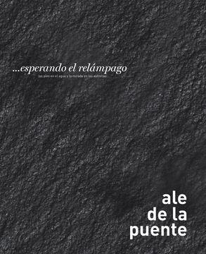 portada Ale de la Puente: Expecting the Lightning: Feet in the Water, Staring
