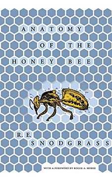 portada Anatomy of the Honey bee (in English)